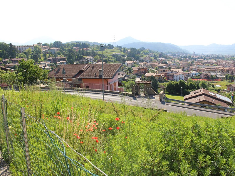 Terreno edificabile con progetto gia' approvato per villa singola. Scopri di piu'...