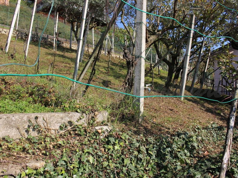 Cenate Sopra, villa unifamiliare 